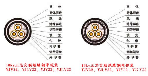10kv電纜結(jié)構(gòu)圖片（YJV、YJLV、YJY、YJLV、YJV22、YJV32、YJLV22、YJLV32）電纜結(jié)構(gòu)圖
