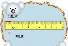 1米等于多少厘米及1米等于多少公分？1英寸等于多少厘米？