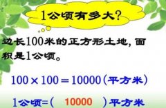 一公頃等于多少平方千米？一平方千米等于幾公頃及一公頃等