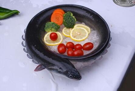 鰻鱺多少錢一斤？野生鰻魚價格多少及養(yǎng)鰻魚賺錢嗎？