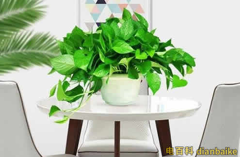 新房裝修后多久可以入?。啃路垦b修好后采取的除甲醛措施