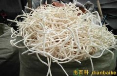 通草怎么吃下奶快？通草圖片和副作用及通草的功效與作用禁