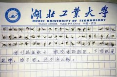60只蚊子寫作文是怎么回事？60只蚊子寫作文來龍去脈（組圖