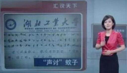 60只蚊子寫(xiě)作文是怎么回事？60只蚊子寫(xiě)作文來(lái)龍去脈（組圖）