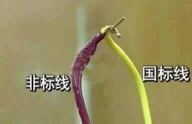 國標(biāo)bv線與非標(biāo)bv線