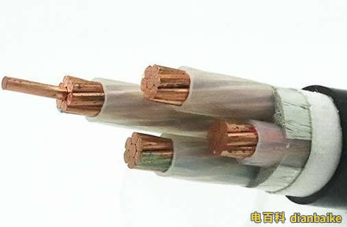 WDZ-YJV-4X50電纜圖片