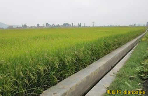 面積單位換算公式一畝地的計(jì)算公式