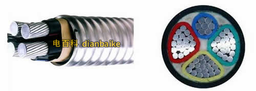 連鎖鎧裝無(wú)護(hù)套型結(jié)構(gòu)示意圖