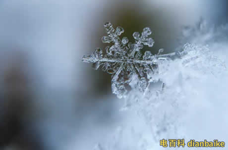 臨界冰核證實是怎么回事？水變冰的納米級變化及水變冰后體積如何變化
