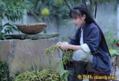 李子柒成致富榜樣怎么回事？三農(nóng)創(chuàng)業(yè)致富榜樣及李子柒怎么