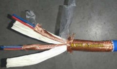 DJYPVP是什么電纜？DJYPVP電纜型號(hào)規(guī)格