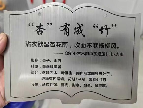 愛護樹木的標(biāo)牌效果圖